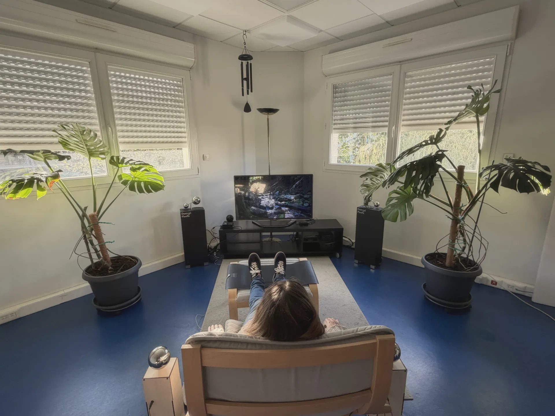 Salle ULTRA-DÉTENTE à Saint-Jean-de-Linières près d'Angers : méridienne face à l'écran, enceintes et plantes